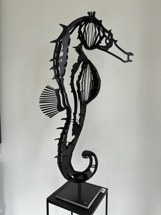 Seahorse Black — Steve Chaudanson - Image 2