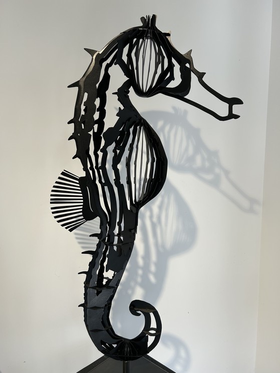 Seahorse Black — Steve Chaudanson - Image 3